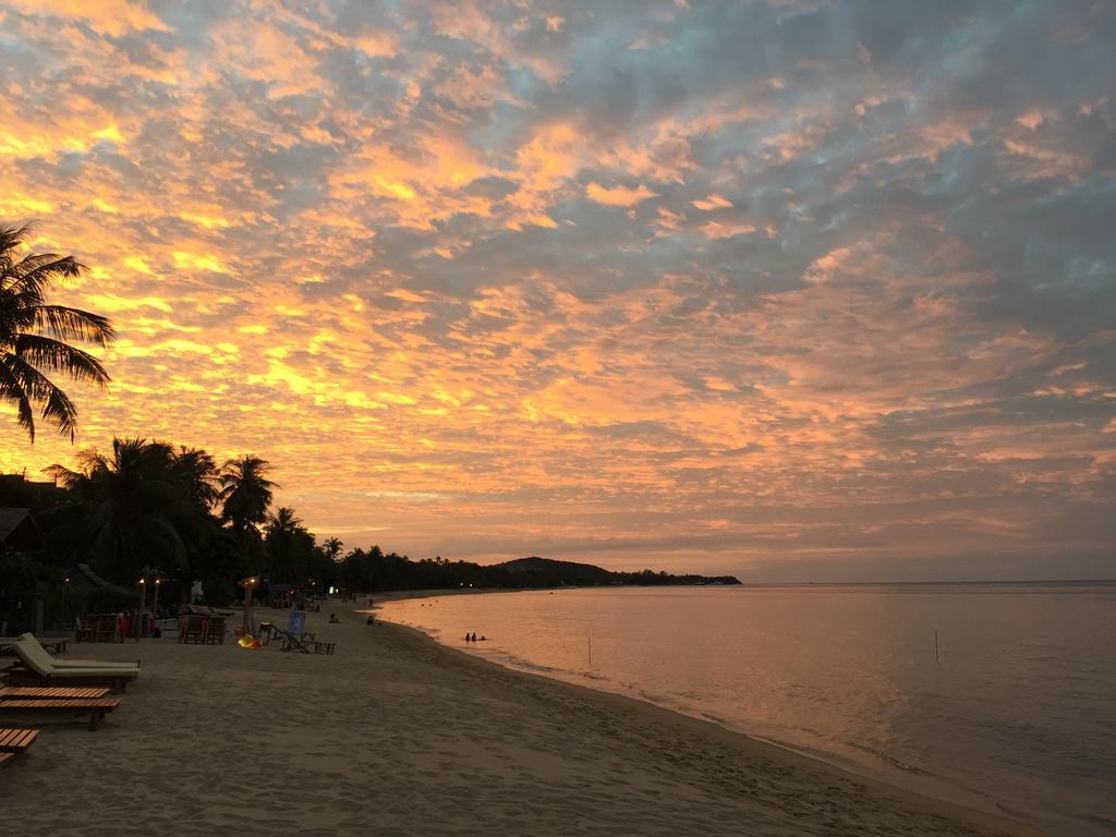 The Cosy Maenam Beach Resort Mae Nam Beach Eksteriør billede